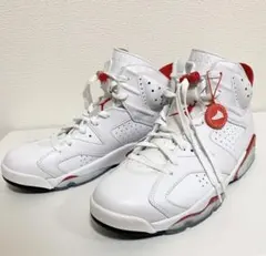 Nike Air Jordan 6 Retro 9.5