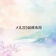 ＊メル22166様専用＊②