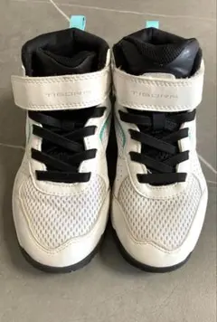 バスケットシューズ バッシュ キッズ 20cm ティゴラ