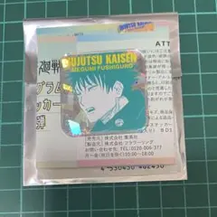 呪術廻戦　伏黒恵　ホログラムアクリルステッカー　コレクション　第1弾