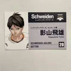 ハイキュー 名刺カードコレクション 影山飛雄 アドラーズ ファンパーク 名刺