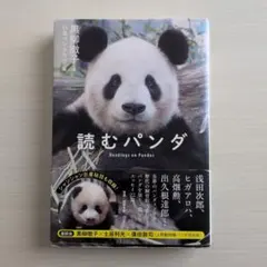 パンダ物語 ピンピンの大冒険 VHS - メルカリ