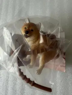 ふんばりーぬ　どこでもふんばりーぬ　柴犬