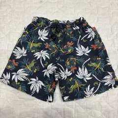 み*ー様 breeze 恐竜柄 ハーフパンツ 100cm