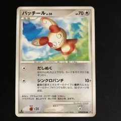 パッチール　DP