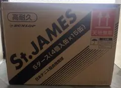 DUNLOP St.JAMES テニスボール （4個入×15缶セット）×2箱 - メルカリ