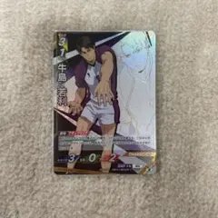 ハイキュー 牛島若利 バボカ