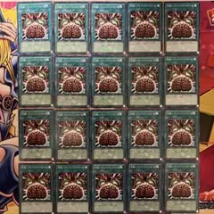 ジョン様 リクエスト 10点 まとめ商品