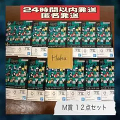 呪術廻戦　一番くじ　死滅回遊　M賞　マグネットステッカーセット 12個セット