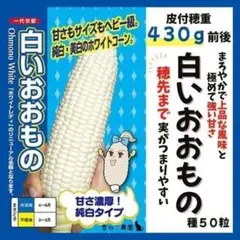 【野菜の種】白いおおものトウモロコシ種５０粒　極甘！大きい！ホワイトコーン