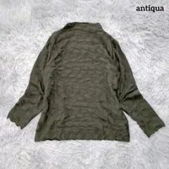 アンティカ antiqua ぽこぽこ ふくれジャガード カットソー 長袖のサムネイル