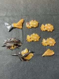 2025年最新】鼈甲の人気アイテム - メルカリ