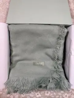 CLINIQUE ブランケット ノベルティ
