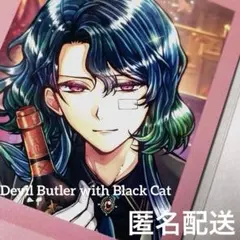 【匿名配送】バスティン★あくねこ★第7弾ぱしゃこれ (ノーマル)1枚★aknk