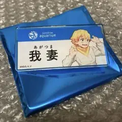 鬼滅の刃 我妻善逸 サンシャインシティ ネームバッジ 水族館