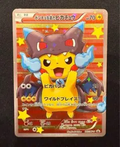 センタリング良好 美品 ピカチュウ プロモ 5枚セット 2025年最新】ポケモンセンター プロモ ピカチュウの人気アイテム