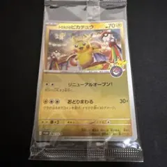 未開封 トウホクのピカチュウ ポケモンセンター スペシャルBOX トウホクのサムネイル