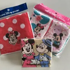 ♡東京ディズニーリゾート☆ディズニーランド ミニタオル 4枚セット