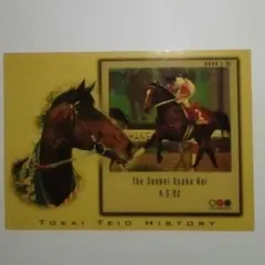 Road tothe Winner、トウカイテイオー(インサート)