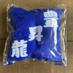 【匿名配送】大相撲ガチャ 関取控え座布団キーホルダー 豊昇龍