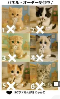 オーダーページ　5/7タオル大好きにゃんこ　限定パネル　ハンドメイド