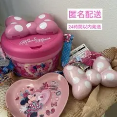 ディズニー ミニー パルパルーザ ポップコーンバケット&スナックケース　プレート