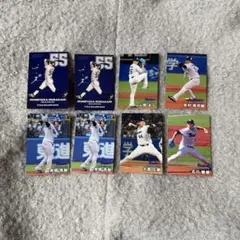 プロ野球チップスカード 2025 東京ヤクルトスワローズ セット