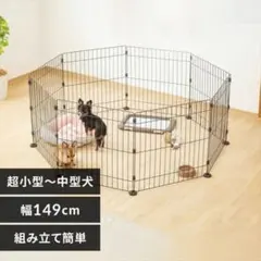 Item thumbnail for item 2e5a434f-c9f4-4dac-864e-7e90990086b9