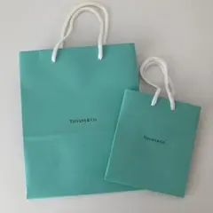 Tiffany & Co. ショッピングバッグセット 大小2点