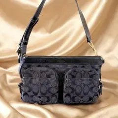 【✨激レア✨】極美品 COACH ショルダーバッグ シグネチャー 裏地ブルー 黒
