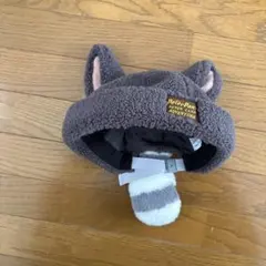 ディズニーシー　ファンキャップ　ピーターパン　ロストキッズ