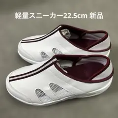 Item thumbnail for item 2ce1cd51-dbc8-4658-ad17-0c476ced5da0