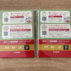 Item thumbnail for item ad0d0892-ccd1-49ca-8258-2c88e1966c58