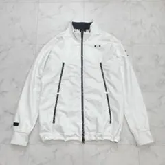 Item thumbnail for item 2a0dea5a-c13b-419f-8dfe-b193b77220ea