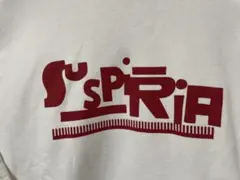 サスペリア パーカー susperia ジャーナルスタンダードのサムネイル