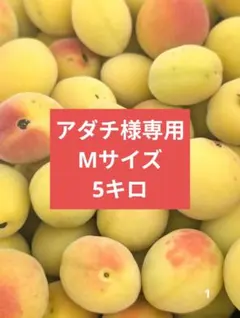 曽我の梅『十郎』生梅 秀品 2キロ - メルカリ