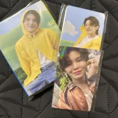 セブチ　カラット盤　ウジウィバーストレカ付き