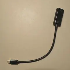 Mini DisplayPort to HDMI 変換アダプター 本体