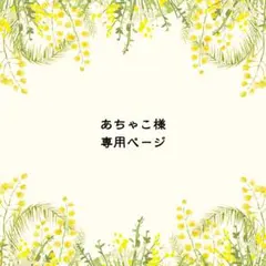 あちゃこ様　専用ページ
