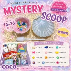 2scoop❤️ ミステリースクープ 送料込み！ 雑貨 キャラクターグッズ ✨ ミステリースクープ ラッキースクープ お楽しみBOX 詰め合わせ
