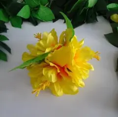 dance bear様 リクエスト 2点 まとめ商品