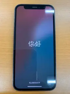 め*ん様 動作確認済 iPhone 12 mini 128GB ID S5322