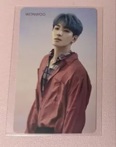 SEVENTEEN ウォヌ 舞い落ちる花びら トレカ SEVENTEEN セブチ トレカ ウォヌ 舞い落ちる花びら - メルカリ