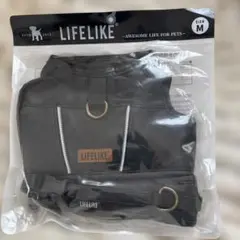 Item thumbnail for item 35d842bb-bf61-4de3-ba00-ceea8966adbc