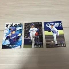 プロ野球チップス2025年 中日ドラゴンズ セット