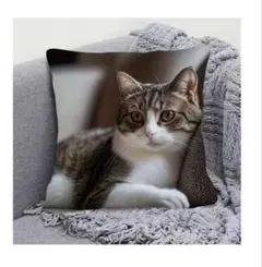 Item thumbnail for item 7378d201-b907-4967-ba50-2b9353fcd345