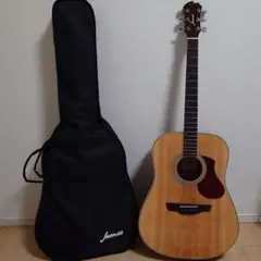 トップ単板 メンテ済 James J-300D ソフトケース＆初心者3点セット