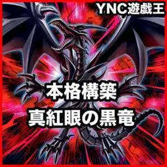 本格構築 真紅眼の黒竜デッキ 黑鋼竜 真紅眼の黒星竜 ドラグーンオブレッドアイズ
