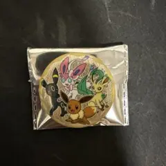 中国限定 ポケカ宝石パック 缶バッジ ブイズ集合