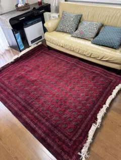 2025年最新】ホジャロシュナイの人気アイテム - メルカリ